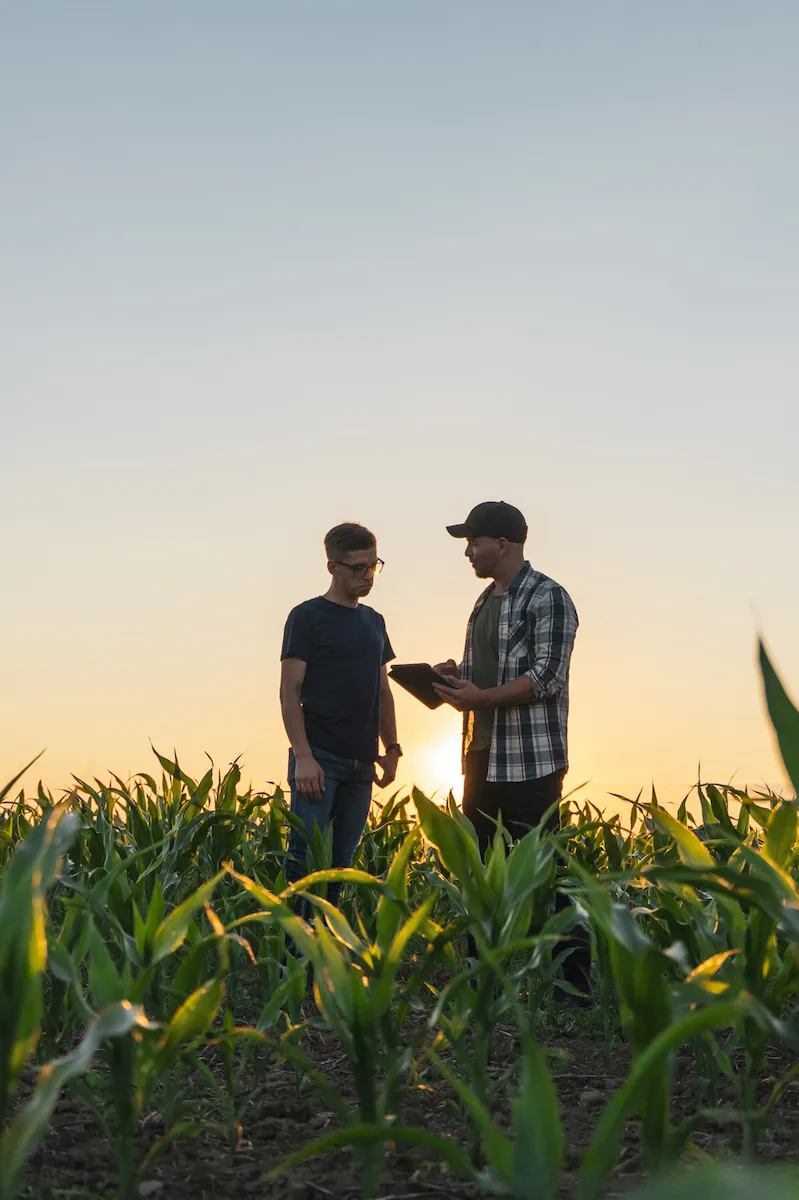 Our Partnerships