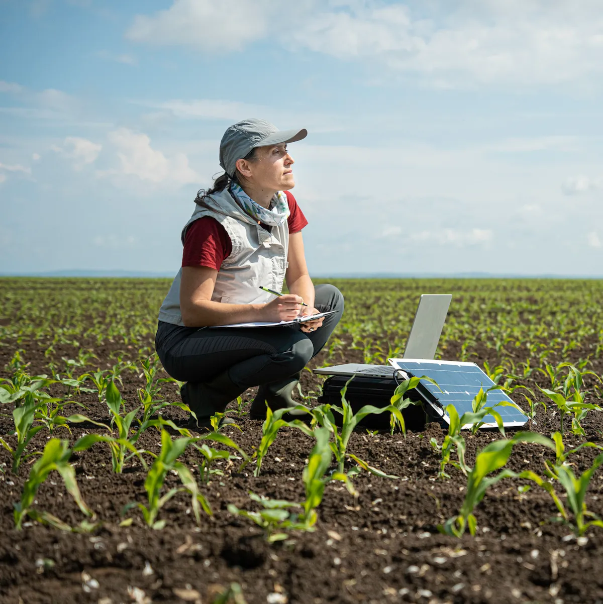 Tracking Crops
